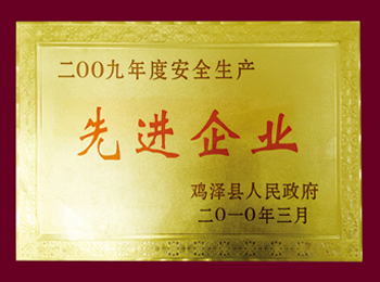 2009年度安全生產先進企業(yè).jpg